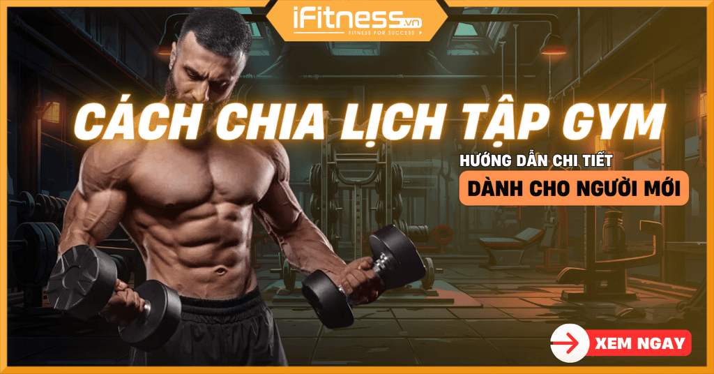 Hướng dẫn chi tiết các bài tập gym hiệu quả mỗi ngày cho mọi đối tượng