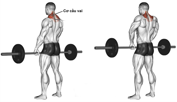 Các bài tập mong vai trên nhà hiệu quả nhất hiện nay Các bài bác tập mong vai trên nhà kết quả nhất hiện nay