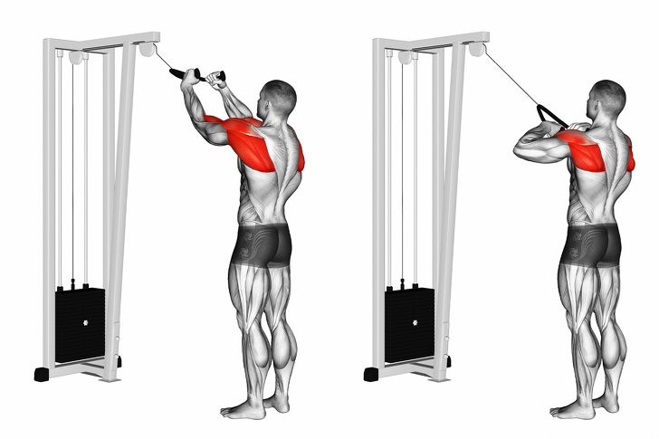 Bài tập vai sau chắc chắn rằng gymers nào cũng cần Bài tập vai sau chắc chắn là gymers nào thì cũng cần