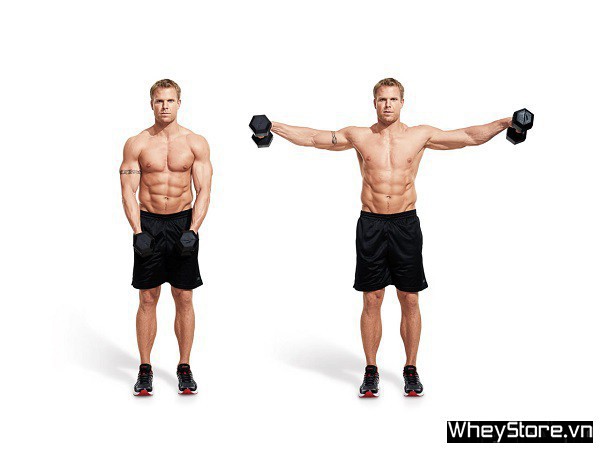 Bài tập vai cùng với tạ đơn siêu hiệu quả cho tất cả những người tập gym Bài tập vai cùng với tạ solo siêu hiệu quả cho người tập gym