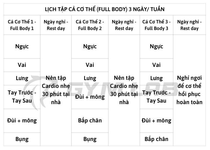 Lịch tập gym hiệu quả, hướng dẫn chi tiết cho mọi mục tiêu