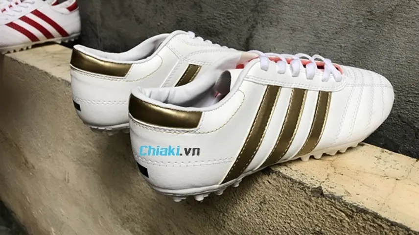 Giới thiệu về giày 3 sọc