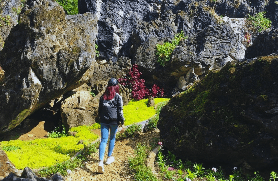 Tour ngày trekking leo núi đoạt được Đỉnh hàm long sapa Tour ngày trekking leo núi chinh phục Đỉnh hàm dragon sapa