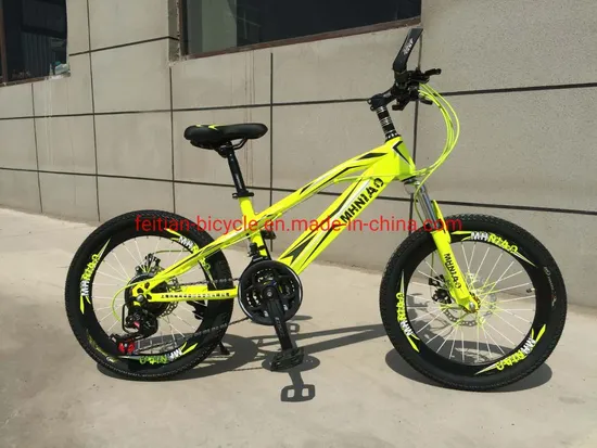 Xe Đạp leo núi mini, giải pháp hoàn hảo cho người yêu thích khám phá Địa hình khó khăn